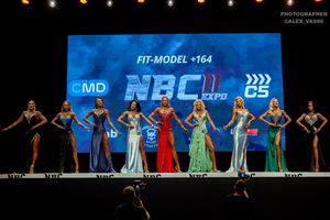 FIT-MODEL +164 раунд 2